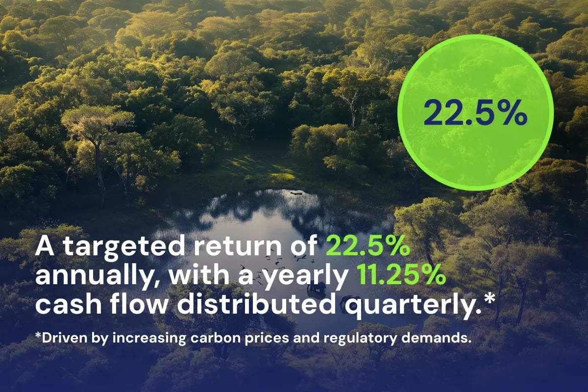 050525_Carbon Credit Funds in Your IRA_Aerial view of the African forest landscape_visual 5