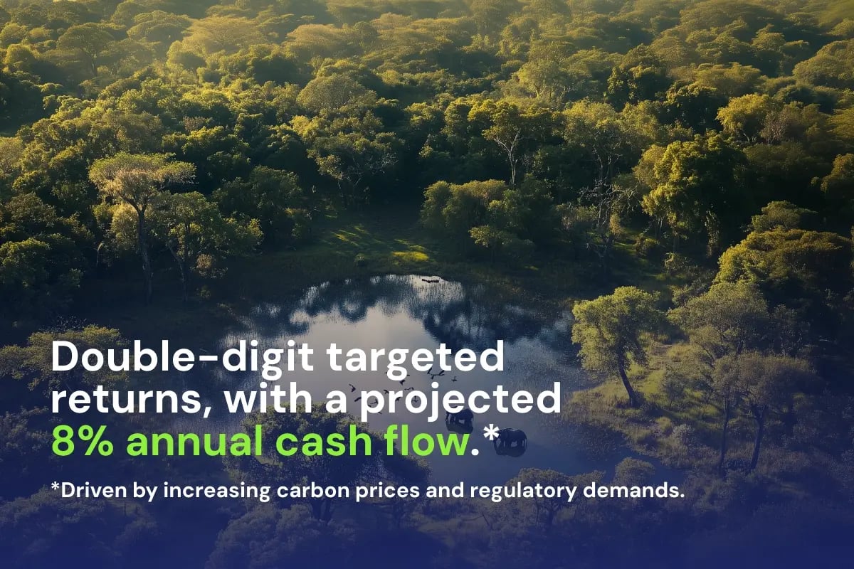 050525_Carbon Credit Funds in Your IRA_visual 5