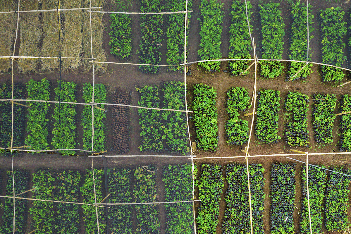 green investments