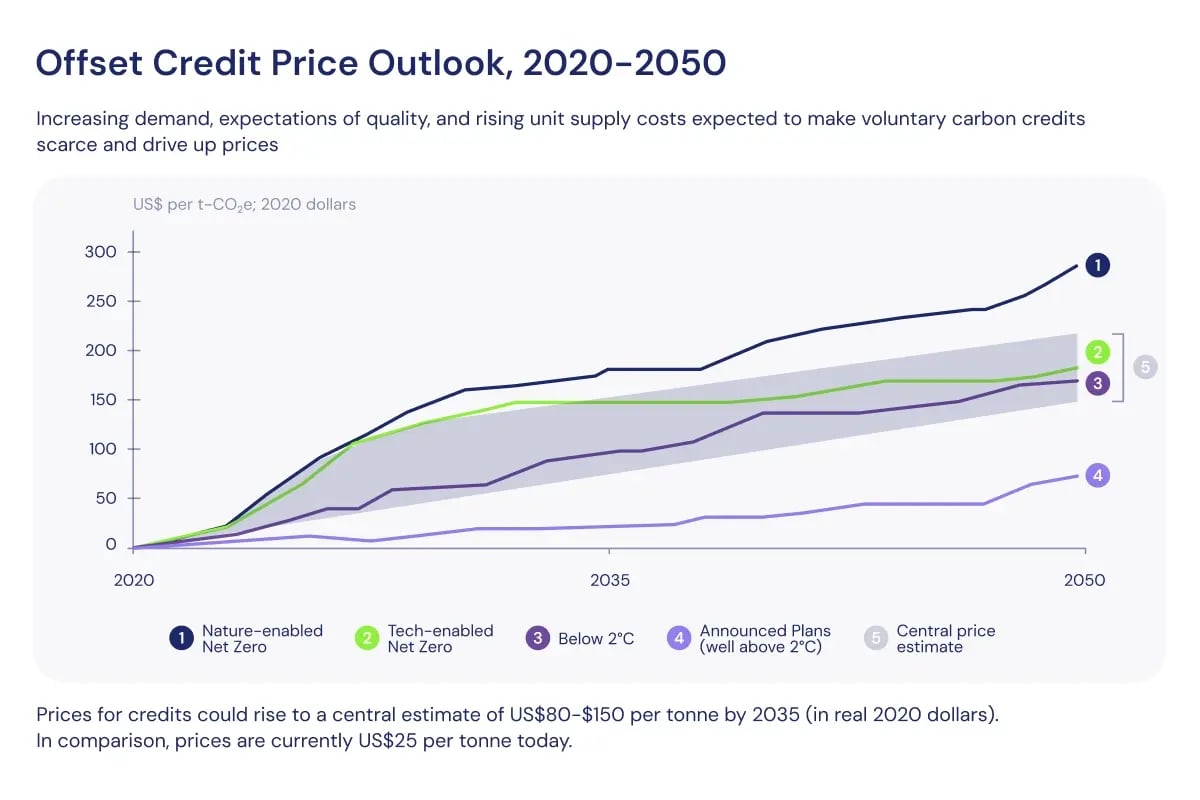 Gold vs carbon credits_ who will outperform_Carbon credit price forecast_visual 5