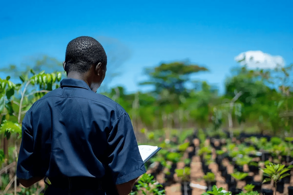 How to invest in carbon credits_A nursery worker during project verification_visual 5