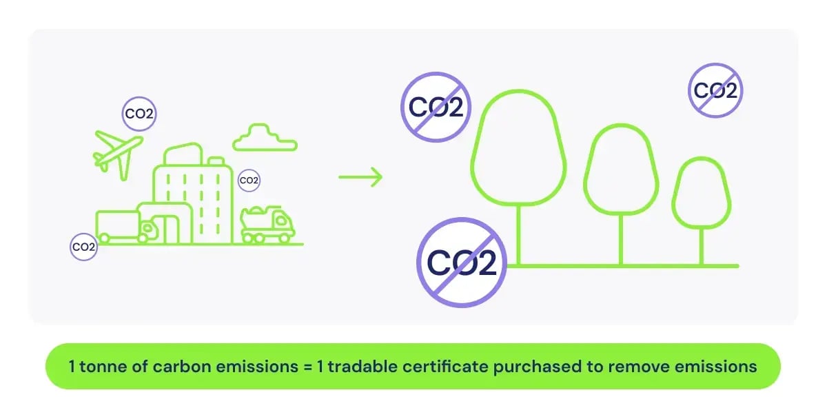 How to invest in carbon credits_What are carbon credits illustrations_visual 2