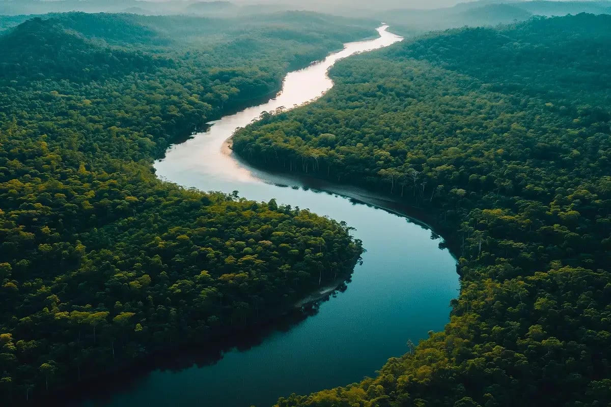 Why Carbon Credits Are the Future of Sustainable Investing_Aerial view of Amazon rainforest_visual 1