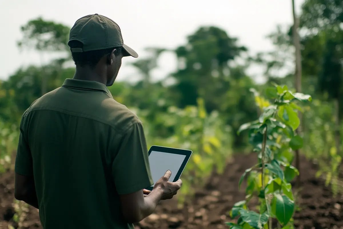 Innovative solutions_ carbon credits as a profitable business strategy_A man observing and monitoring the condition of plants in a newly planted forest_visual 2