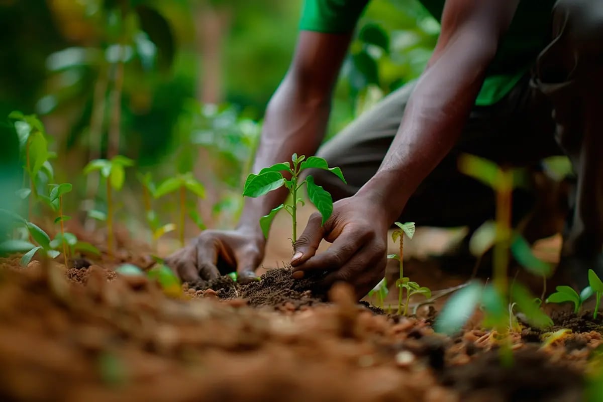 Innovative solutions_ carbon credits as a profitable business strategy_Close-up of a man planting a tree_visual 3