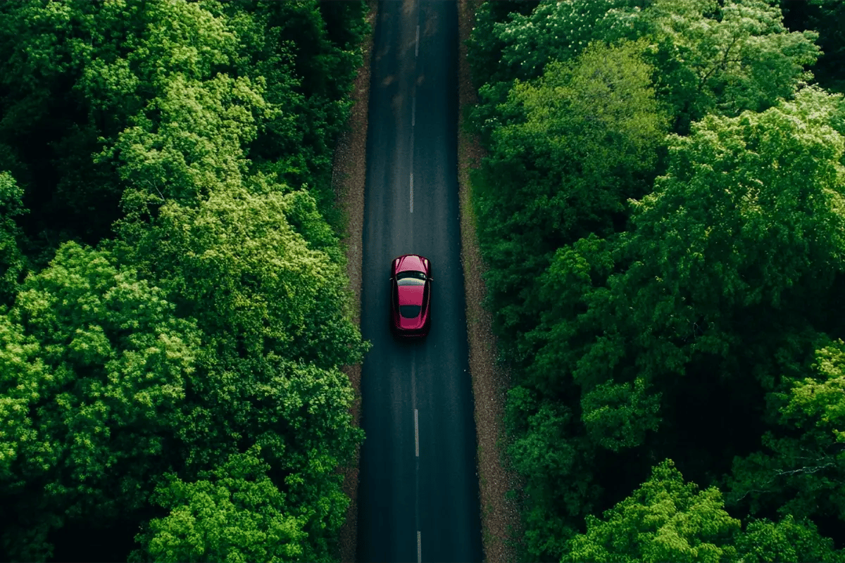 Trumps 7 new policies what they could mean for the voluntary carbon market_Top-down view of a Tesla car driving along a forest road_visual 4