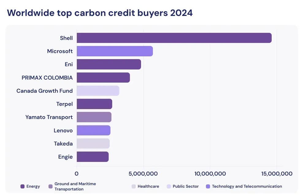 US Case studies_A chart illustrating what companies buy carbon credits in 2024_visual 4-1