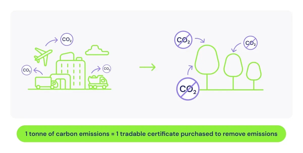 US Case studies_A visual representation of how carbon credits function_visual 2