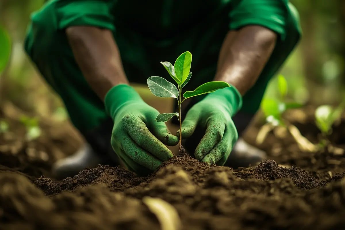 What’s a green investment strategy_ The $13 trillion market opportunity_visual 6