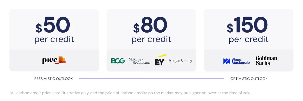 Why carbon is the hottest commodity nobody understands (yet)_visual 4