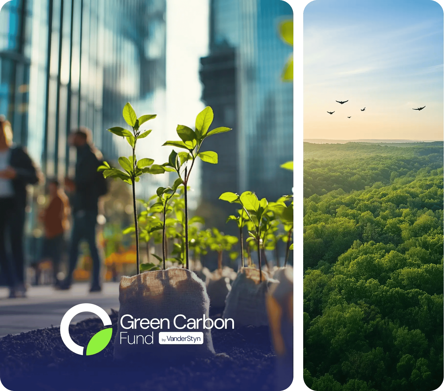 the green carbon fund brochure_introducing_ vanderstyns green carbon fund  (1)